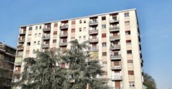 MONZA – BILOCALE – RIF. B327
